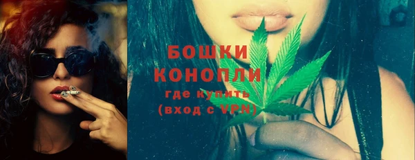 ешки Гусь-Хрустальный