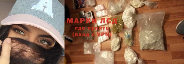 прущие грибы Гусев