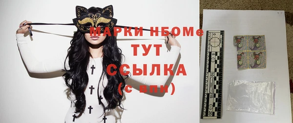 прущие грибы Гусев