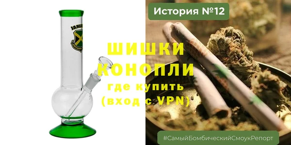 прущие грибы Гусев