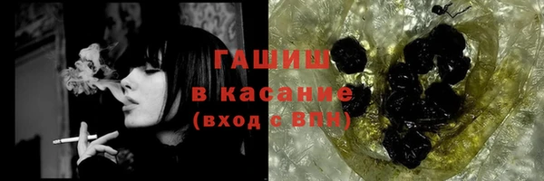 прущие грибы Гусев