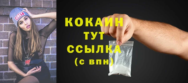 ешки Гусь-Хрустальный