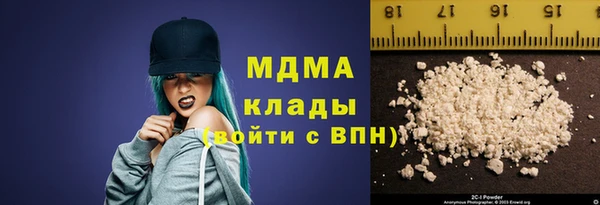 прущие грибы Гусев