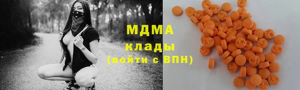 прущие грибы Гусев