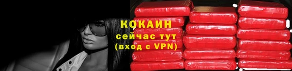прущие грибы Гусев
