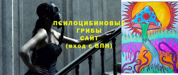 прущие грибы Гусев