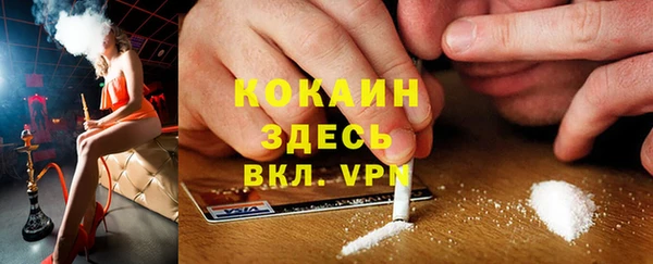прущие грибы Гусев