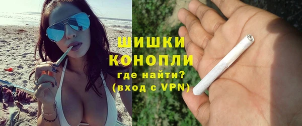 прущие грибы Гусев
