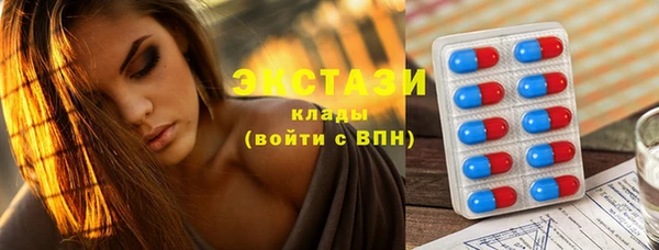 прущие грибы Гусев