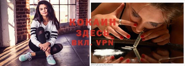 прущие грибы Гусев